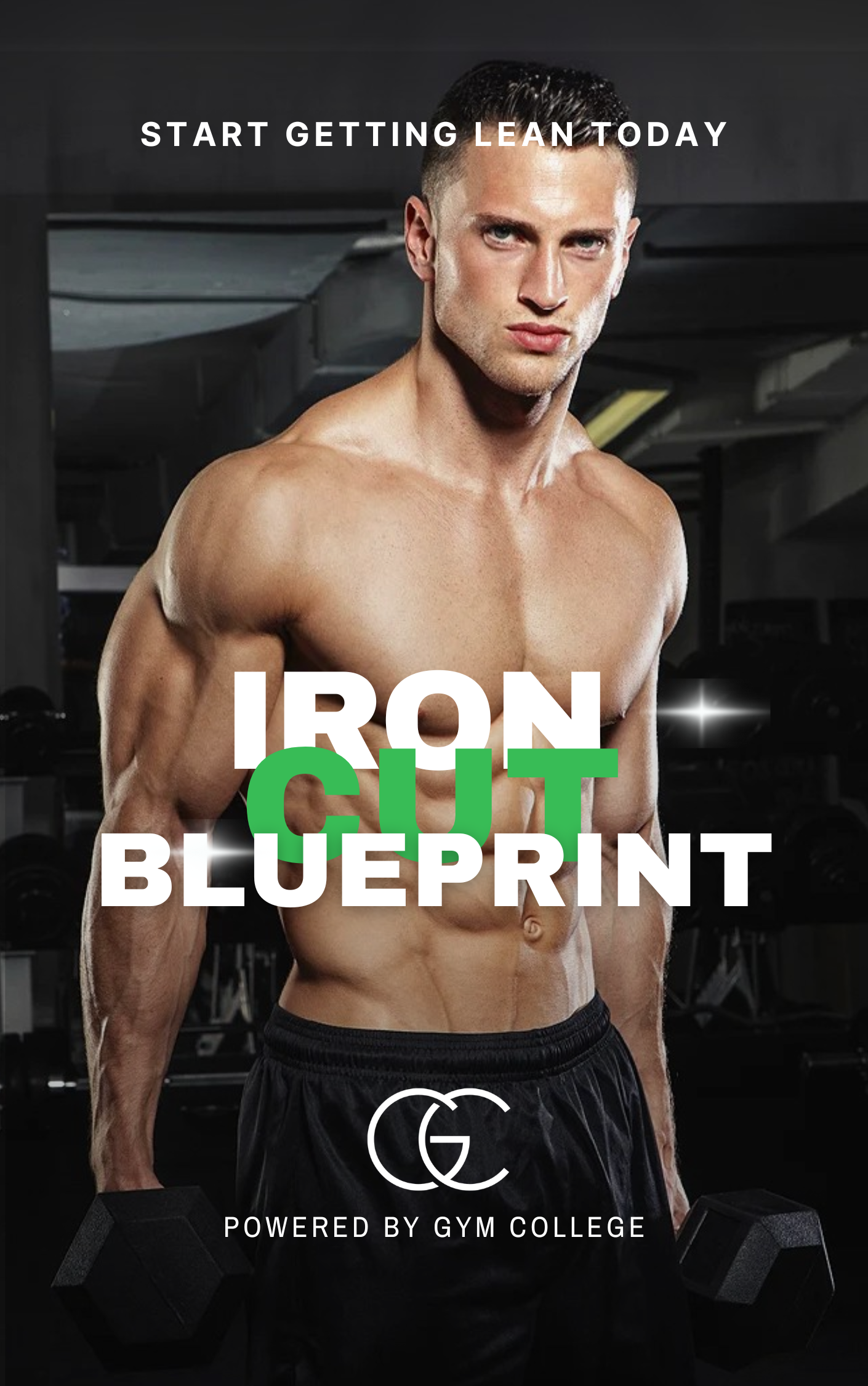 The Fat-Loss Blueprint